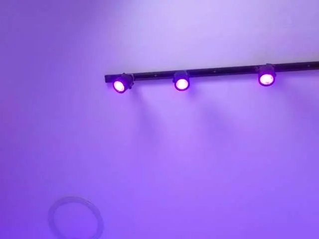 MaiaWatson on BongaCams 