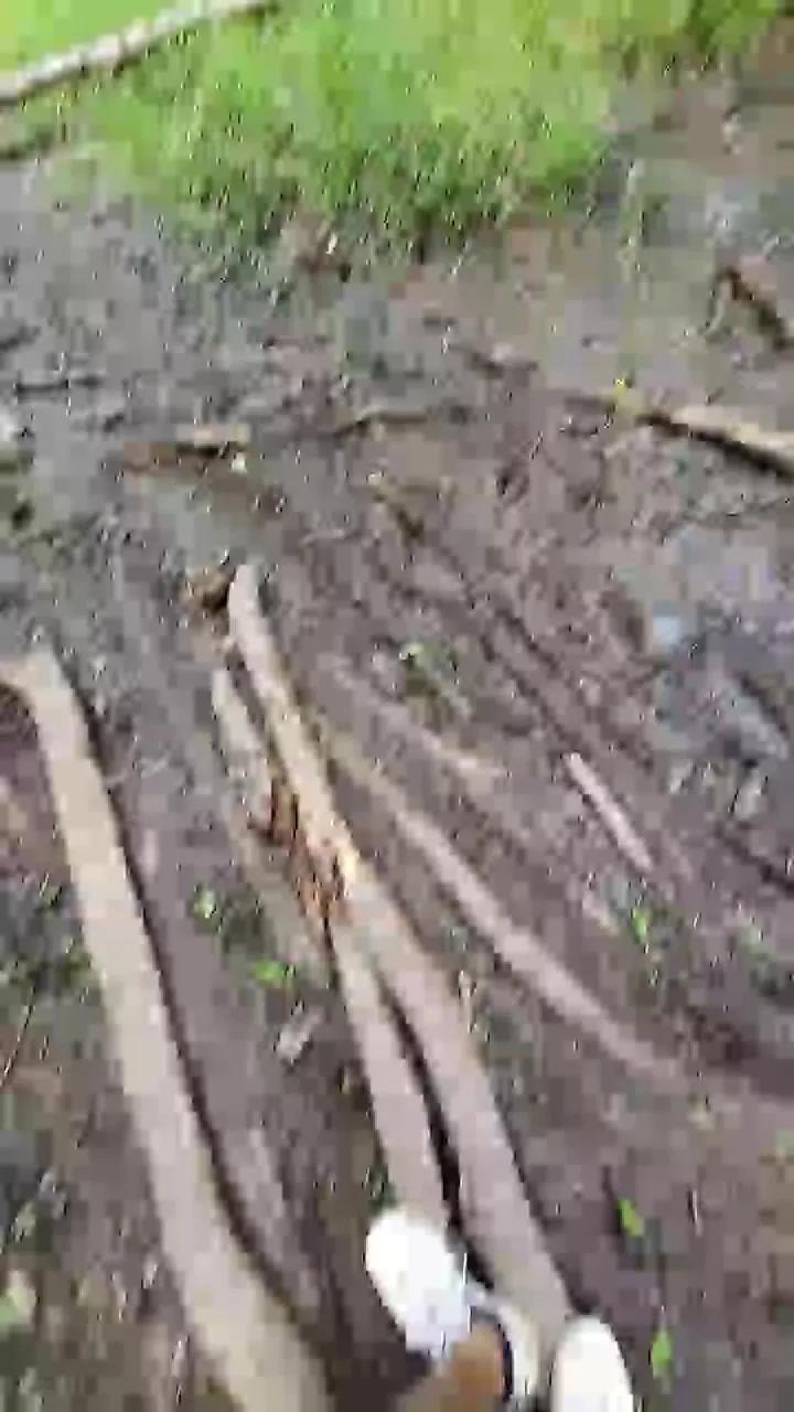 1 - 