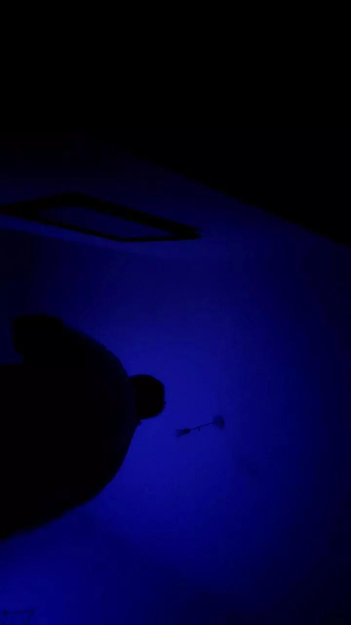 1 - 
