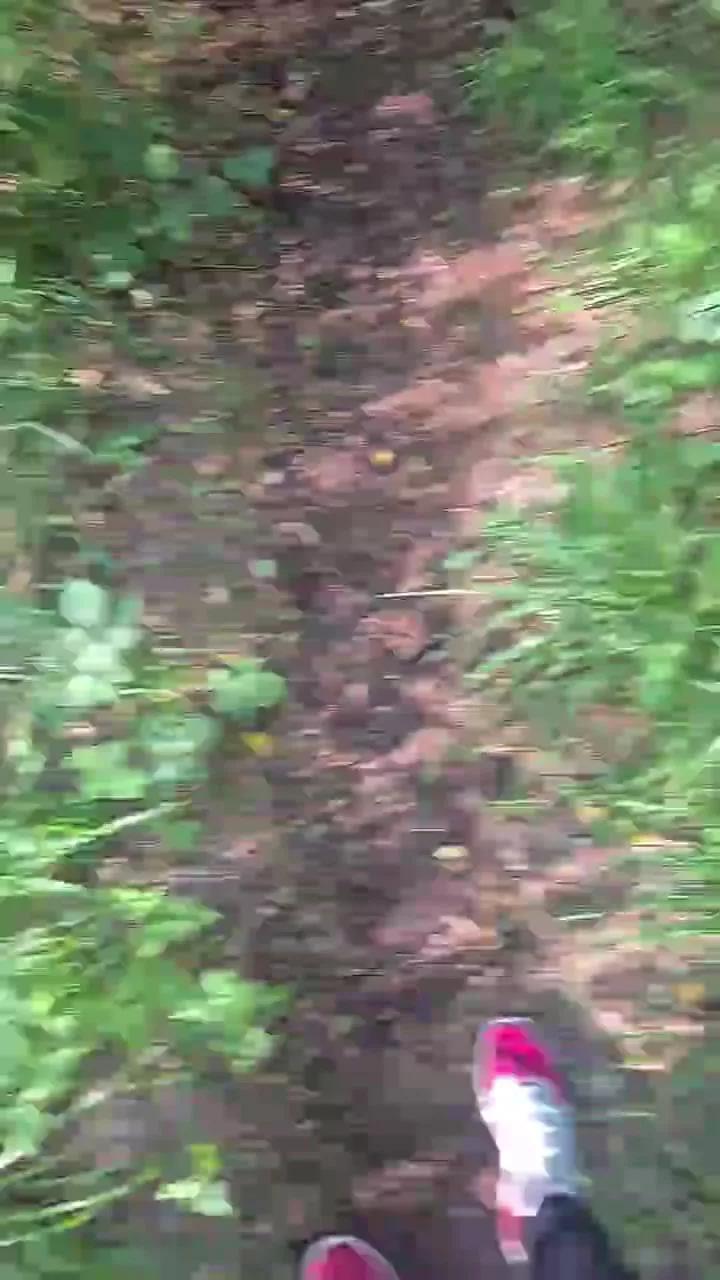 1 - 