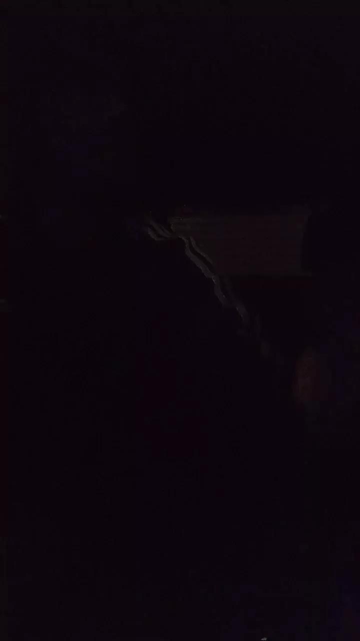 1 - 