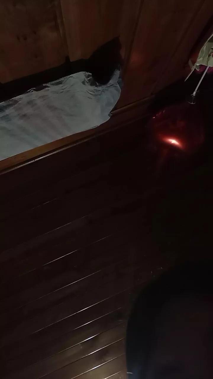 1 - 