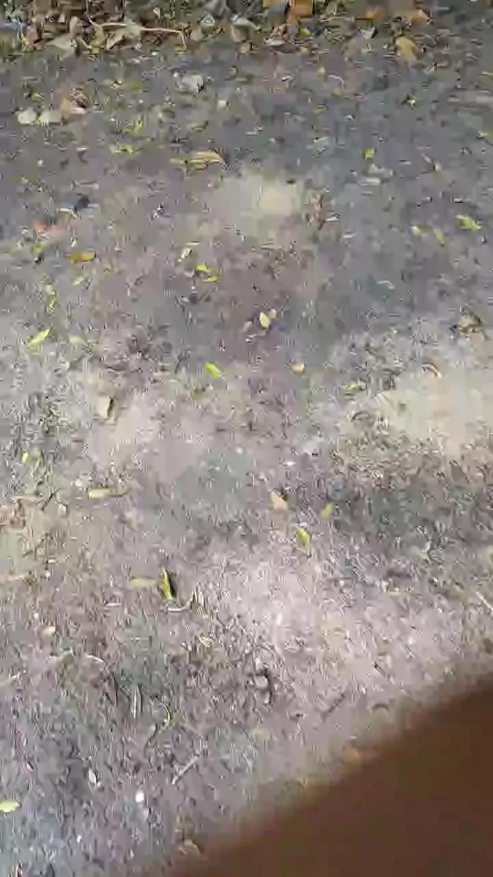 1 - 