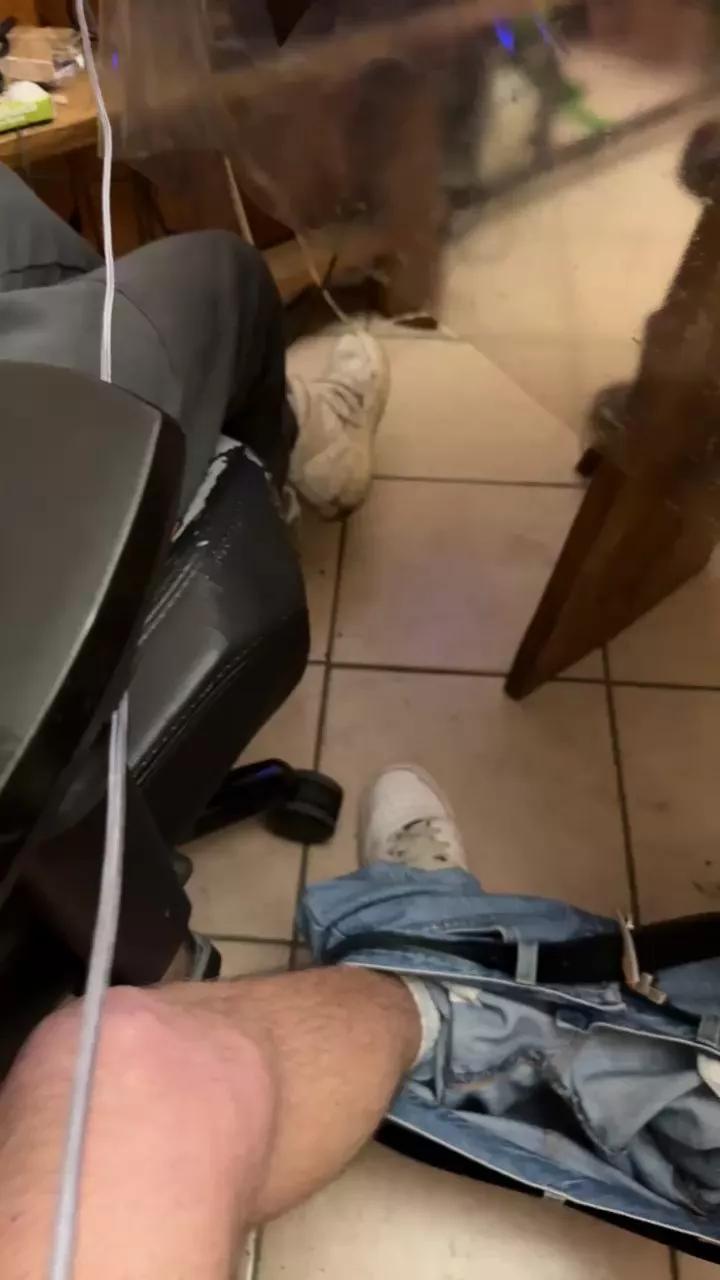 1 - 