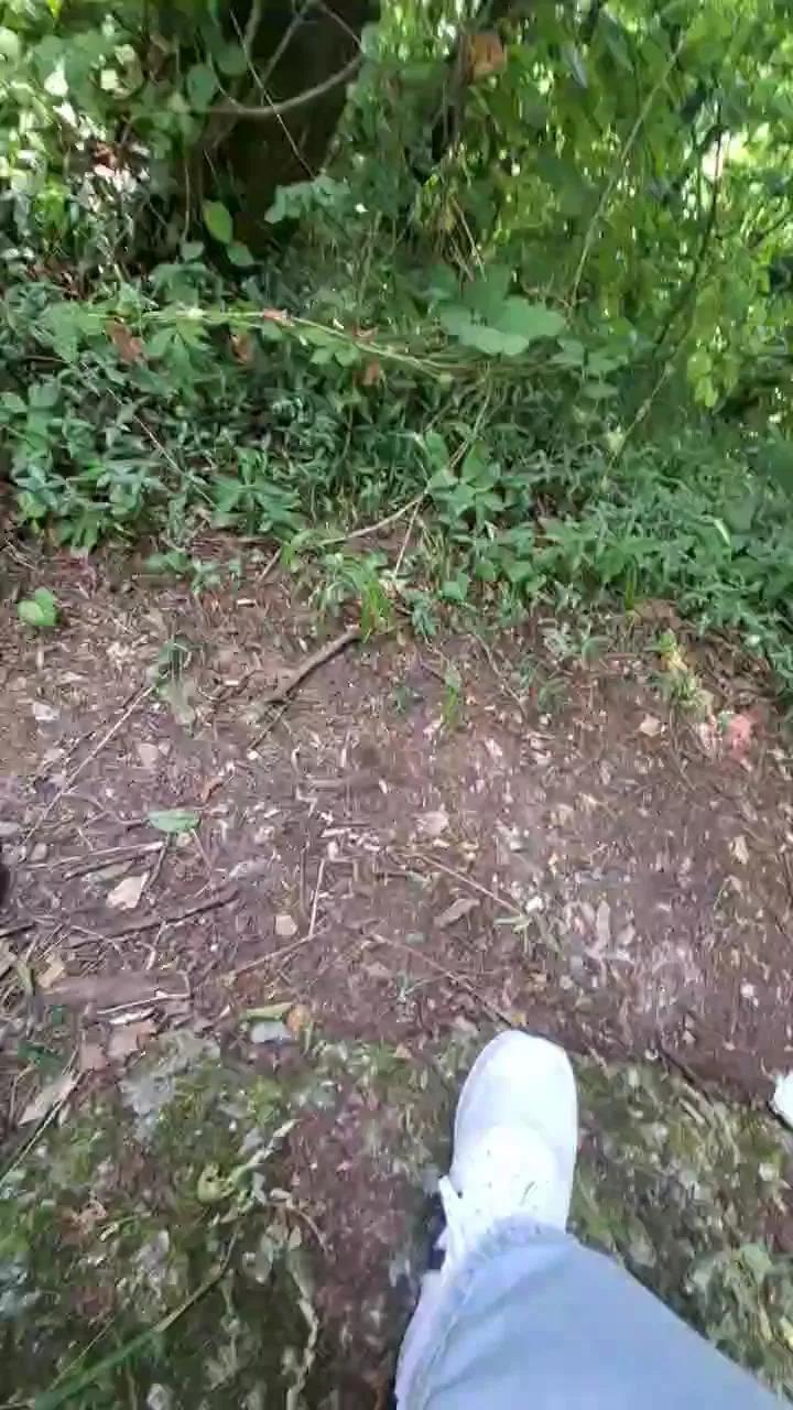 1 - 