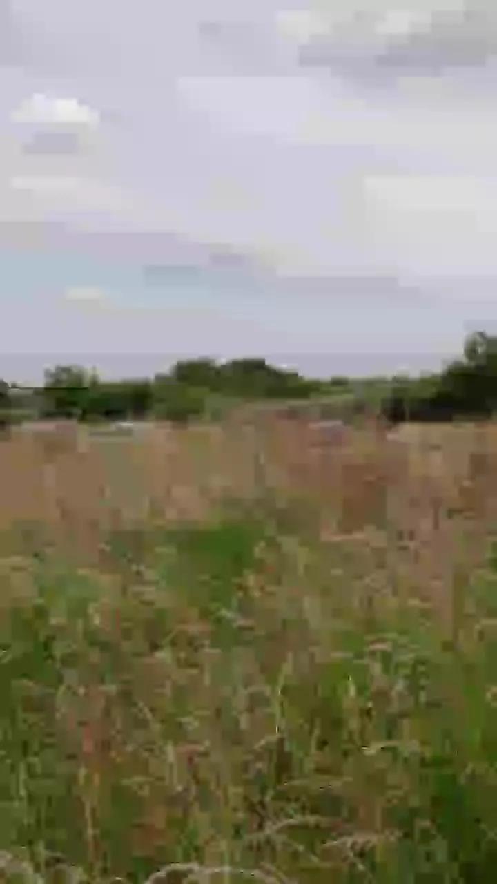 1 - 