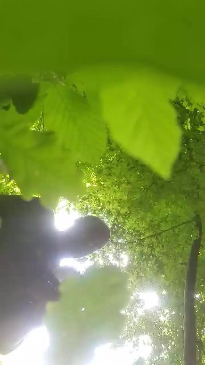 1 - 