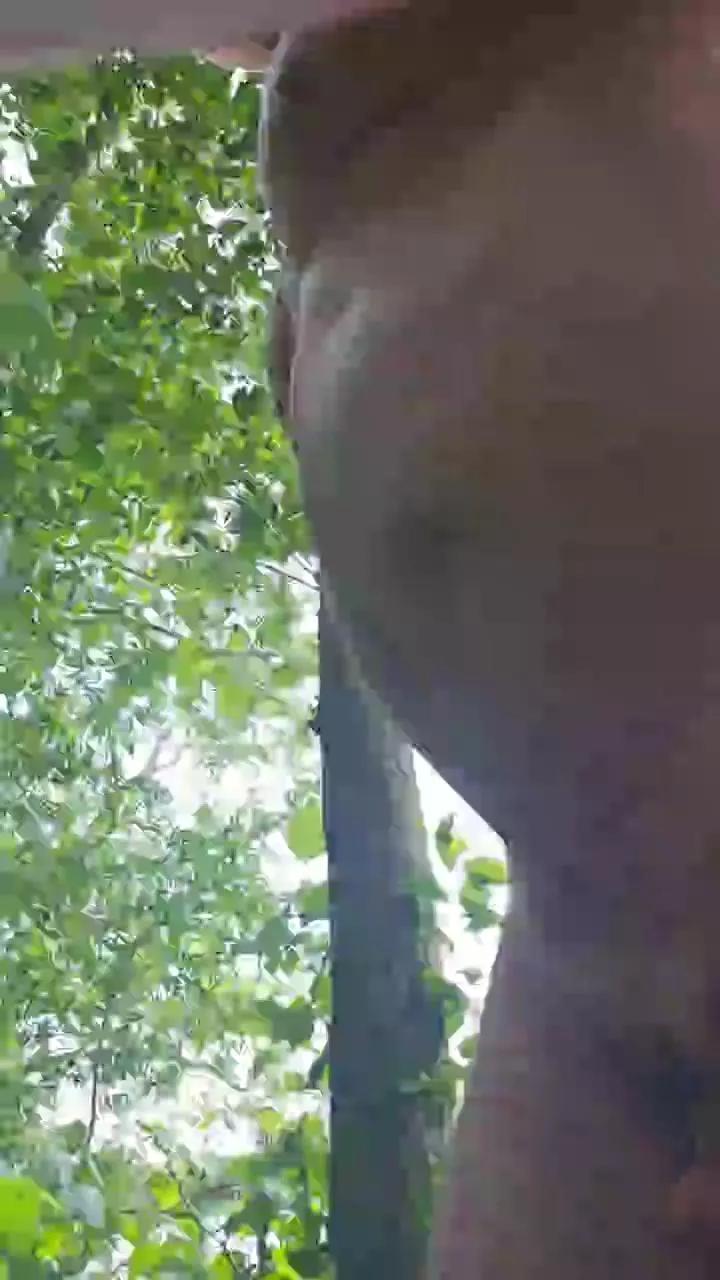 1 - 