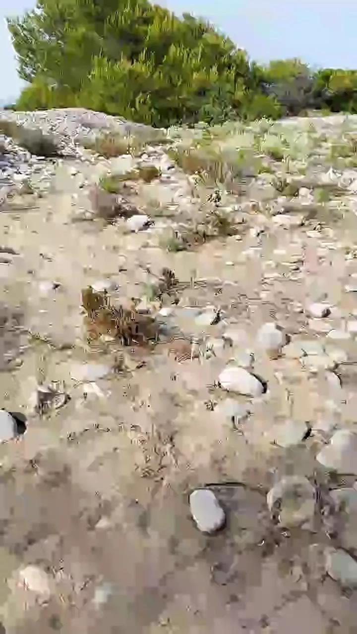 1 - 