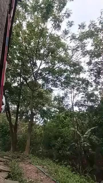 1 - 