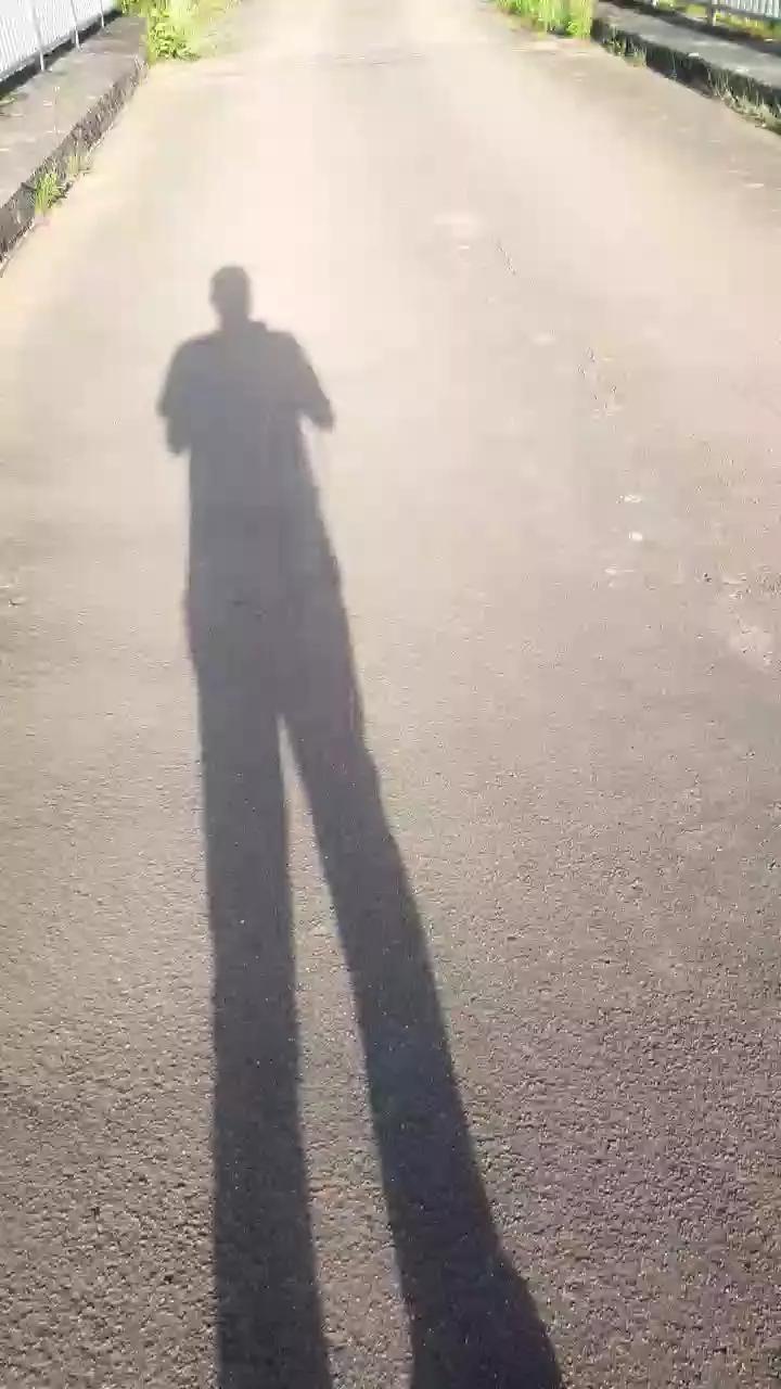1 - 