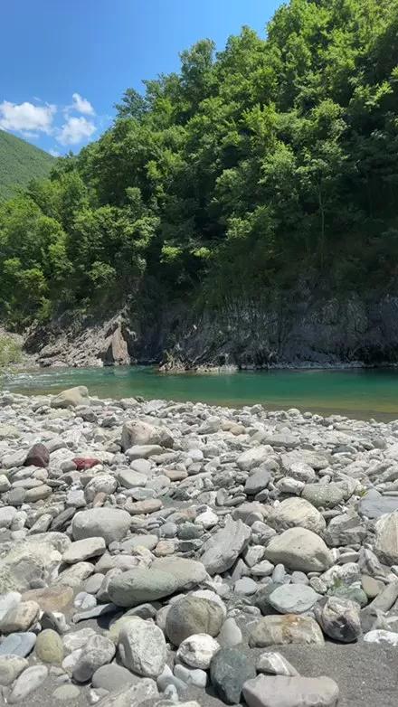 1 - 