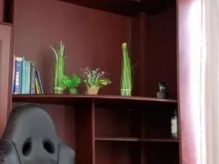 1 - 