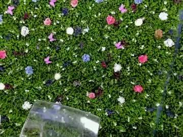 babyaylin on Chaturbate 